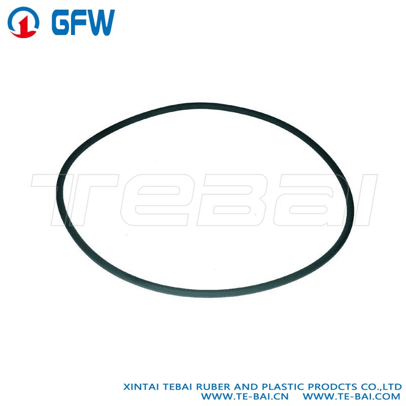 气缸套密封环-0159979148 SIZE144-3.8FPM